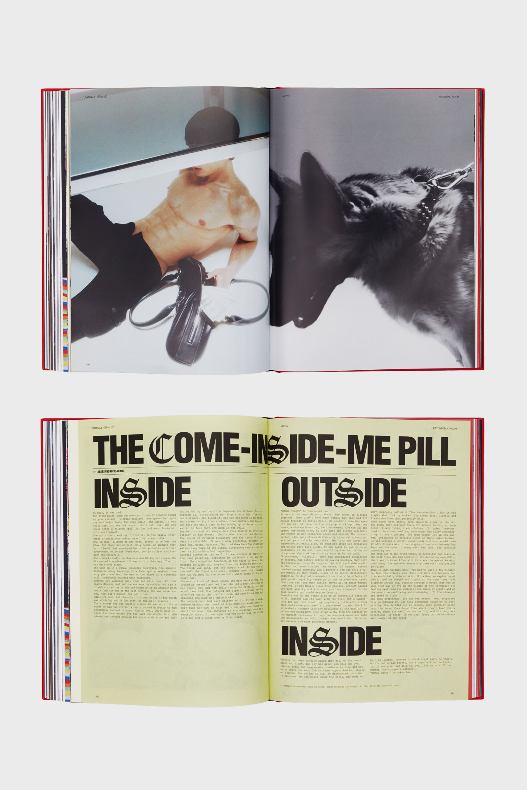 C-ISSUE02-PDP-04