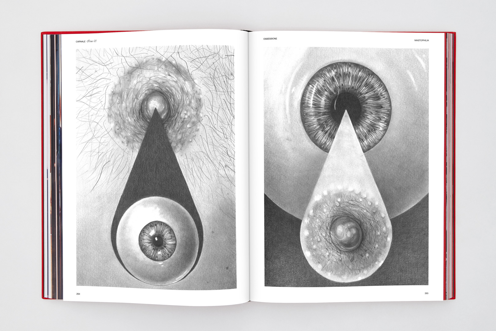 C-ISSUE03-SPREADS-14